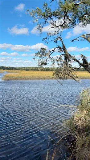 A amazing view of Tea Farm Creek. This area in the video has been forever protected with help from Charleston County Greenbelt funding. | Charleston County Greenbelt Programs | Facebook