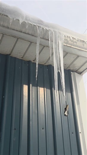 ASMR Icicles dripping in my driveway...