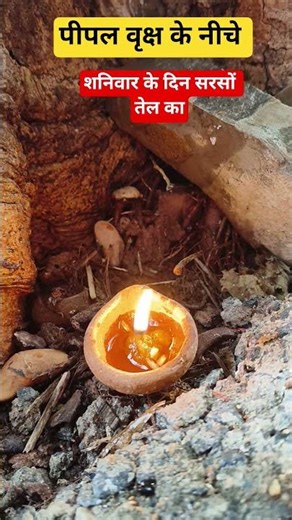 #On Saturday, by lighting a Peepal tree, a mustard oil lamp is lit.