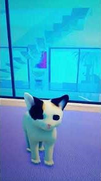 cat miau e muito fofo 🩷🩷🩷 #roblox #miau #cat #jogo gatinho
