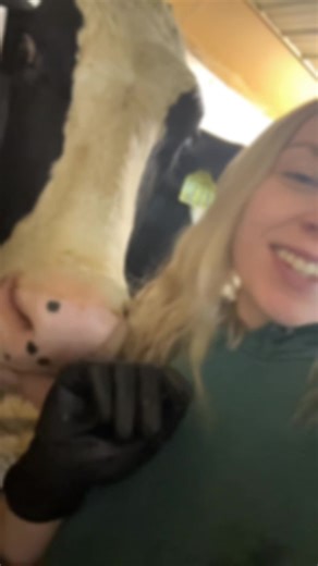Wisconsin Dairy Farmers: Behind the Scenes
