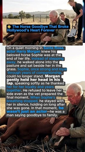 😢 The Horse Goodbye That Broke Hollywood’s Heart Forever #shortsvideo #hollywood