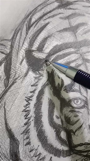 Sketching a Tiger!! #tiger #animals #sketch #drawing