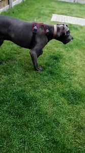 19K views · 267 reactions | *APPLICATIONS ARE CLOSED* Favour...