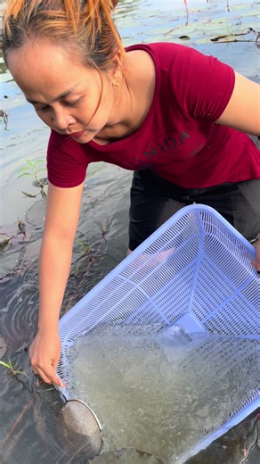 Essential Survival Skills for Catching Fish