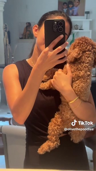 Adorable Toy Poodle Moments: A Mommy's Journey