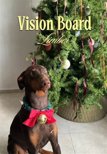 Vision Board Creativo con Mascotas 💞👠