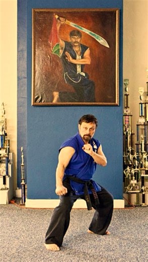 100 DAYS OF MORROW is catching fire! 🔥 Join me and start your 100 days of exercise! If you can’t start today, start as soon as you can. Any physical activity, no matter how big or small, counts. If you’d like to be featured on my page, you are welcome to send me your videos of doing your 100 days of exercise under the hashtag #100DAYSOFMORROW! ❤️ #100DAYSOFMORROW #Pushups #PushupChallenge #MartialArts #QuadCities #RIP #Tribute | Evin Ersan