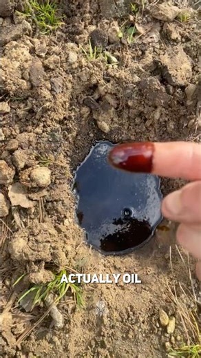 What to Do If You Find Oil.