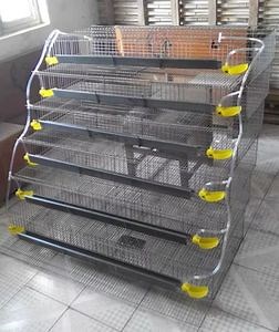 [Hot Item] Layered Animal Cages and Equipment a-Type Quail Breeding Cage for Egg Quails System