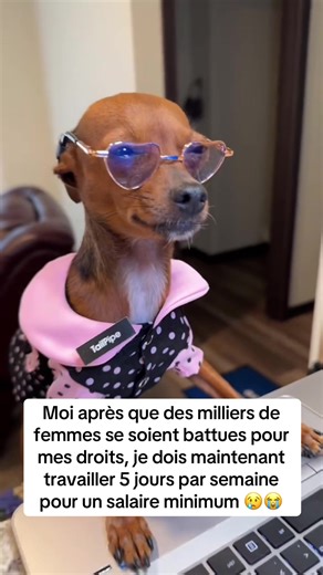 Vidéos de Splitz (@splitzzz__) avec No One - Alicia Keys