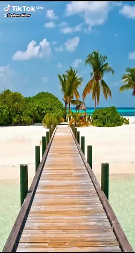 Abcya (@yalewzelelew)’s videos with original sound - Abcya