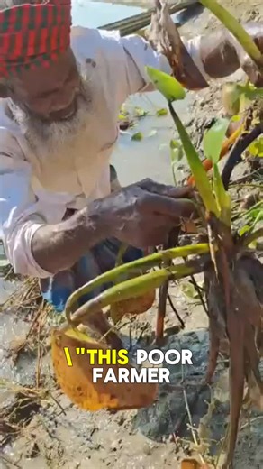 Master River Fishing Tricks for Guaranteed Success