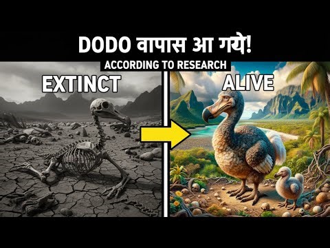 The Mysterious Extinction of Dodo Birds| Story of Dodo Birds| #video #dodo #highlights #birds #viral