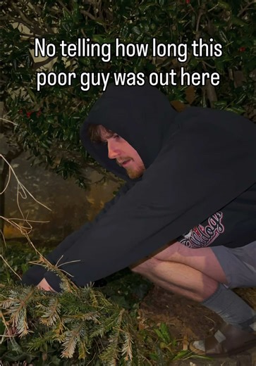 Poor thing must’ve been so cold last night #henny #relatable #funny #fyp #monster