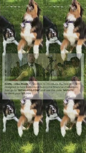 FUNNY Cat Tries to Escape! 🤣 Hilarious Pet BLOOPERS 1957s