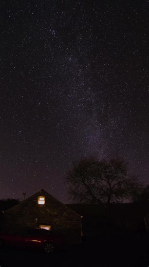 You're Always on My Mind - Song Meaning and Lyrics Analysis