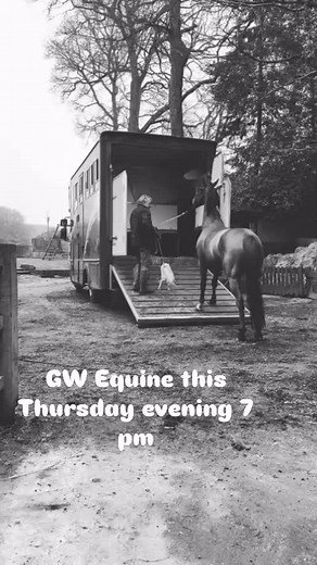 37 reactions | Loading problems #Horseloading | David Sally Catchpole | Facebook