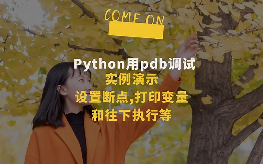 Python中使用pdb进行调试(设置断点,打印变量和往下执行等)
