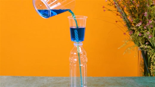 Give These Fun and Easy Experiment a try