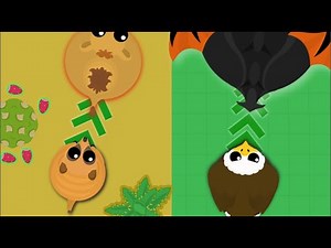 ONLY TAILBITES CHALLENGE IN MOPE.IO (Very Hard)