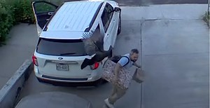 Wild Turkey Aggressively Attacks Man At His New York Home In Wild Scene