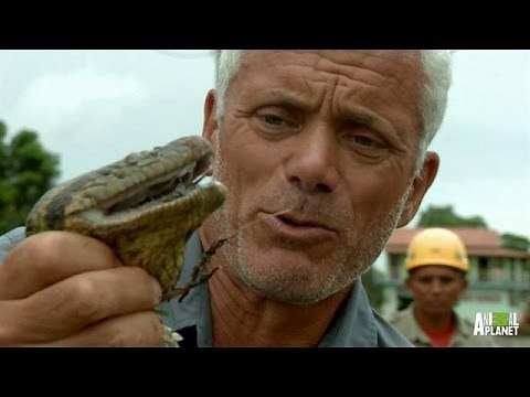 Never Catch an Anaconda with Your Bare Hands | River Monsters