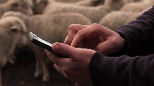 Find out more about free electronic National Vendor Declarations (eNVDs), how they make life easier for producers and improve the accuracy of information through the supply chain: | Meat & Livestock Australia