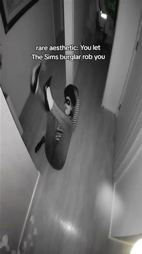 POV you let The Sims burglar rob you