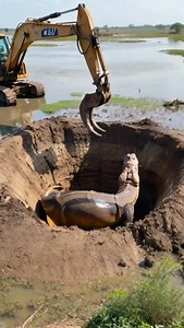 excavator meets mutant animal #giantpython #excavator | MGTC Farming