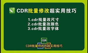 CDR批量修改的超实用技巧1.cdr批量改尺寸2.cdr批量改颜色3.cdr批量改字体#平面设计 #CDR #CDR软件#设计干货
