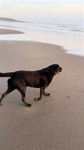 Sunset at Harlech beach