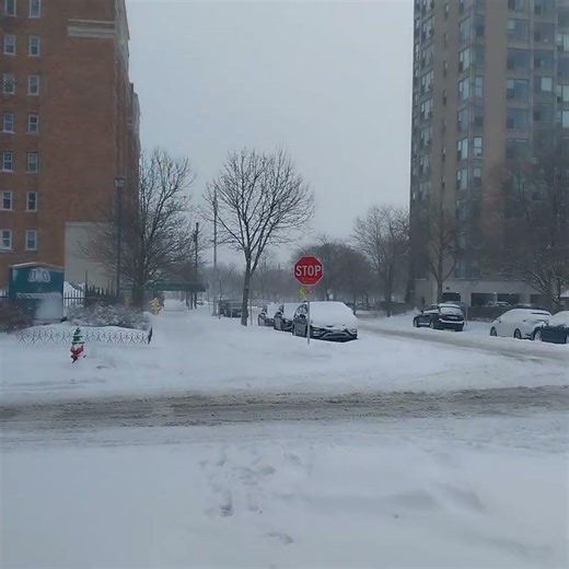 Almost spring in Milwaukee Wisconsin. Nature rules.