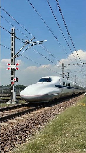 子供向け電車動画｜しろの新幹線で色を楽しく学ぼう【知育ショート】 #shorts #電車動画 #子供向け動画 #幼児向け #知育動画 #色を学ぶ #電車好き #子供が喜ぶ #新幹線