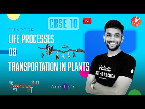Transportation in Plants - Life Process | Class 10 Biology Amrit Sir ‪@Vedantu9_10‬