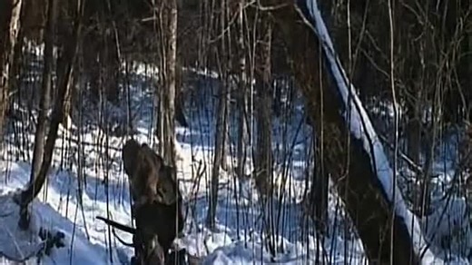 Dersu Uzala (Akira Kurosawa) Russian-Japanese Historical drama (1975) part 2 (English Subtitles)