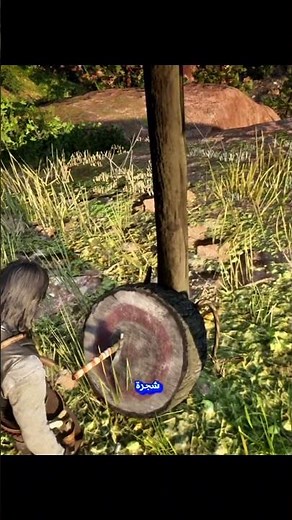 أماكن أسلحة في لعبة red dead redemption 2