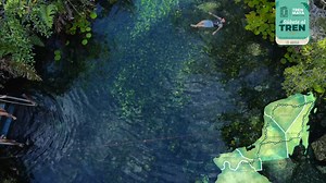 #TodosSomosTrenMaya 🇲🇽 En todo su recorrido, el Tren Maya tendrá 34 estaciones abarcando los estados de Chiapas, Campeche, Tabasco, Yucatán y Quintana Roo, para que turistas y población local encuentren en el Tren Maya su mejor medio de transporte #SúbeteAlTren 🚄 | Tren Maya