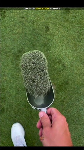 Why Do Golfers Throw Sand After Hitting the Ball 😱