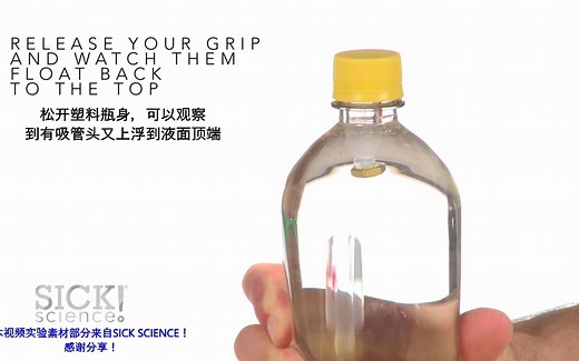 IYPT/CUPT 2021 P6——Irreversible Cartesian Diver 不可逆转浮沉子