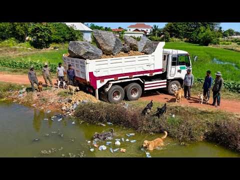 First Start New PROJECT! Complete100% Clear Water In The POND by Dump Truck Overloading, Bulldozer P