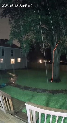 Lightning Strikes Backyard Tree — Caught on Home Camera ⚡🌳 #RealFootage