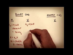 The Monkey Hunter Physics Problem