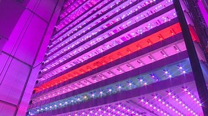 BBC Scotland - BBC Scotland - Inside UK’s first ‘commercially-viable’ vertical farm — is this the future of the industry or just a science fiction fantasy?
