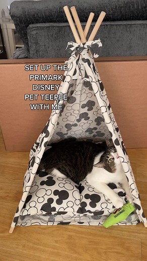 Reply to @maddiebarker5 such an easy set up and my cat loves it! #primarkfinds #primarkdisney #disneyhomedecor #disneyadult #cattok #catdecor #tepee