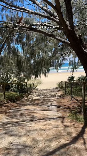 Summer in Australia: Aesthetic Vibes and Experiences