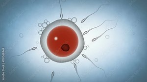 Visualization of sperm entering human egg. Stock Video