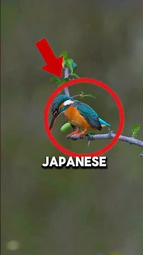 This Bird Defeated 100 Engineers! 😱 #shorts