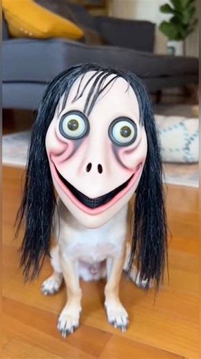 Chihuahua vs Cane Corso | Scary Masks, Prank Ep. 1 🎭😱👺 #shorts #animalprank