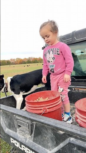 How to call cows 🐮